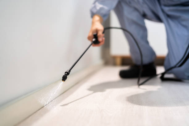 Bed Bug Pre-Treatment Preparation Assessment in Kechi