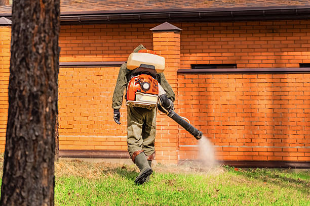 Bed Bug Clearance Verification and Documentation in Kechi